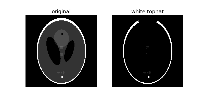 ../../_images/plot_morphology_6.png