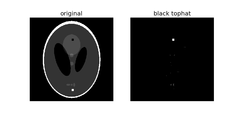 ../../_images/plot_morphology_7.png